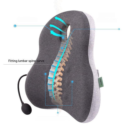 Ergonomic Chair Backrest