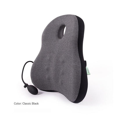 Ergonomic Chair Backrest